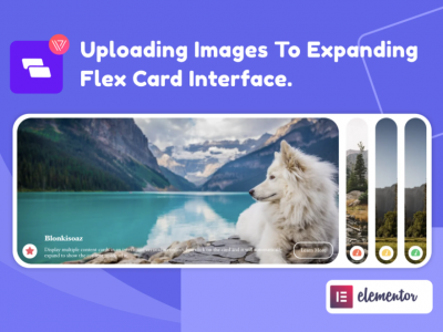 Wiloke Expanding Flex Cards Elementor Addon