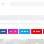 Social followers bar for WordPress